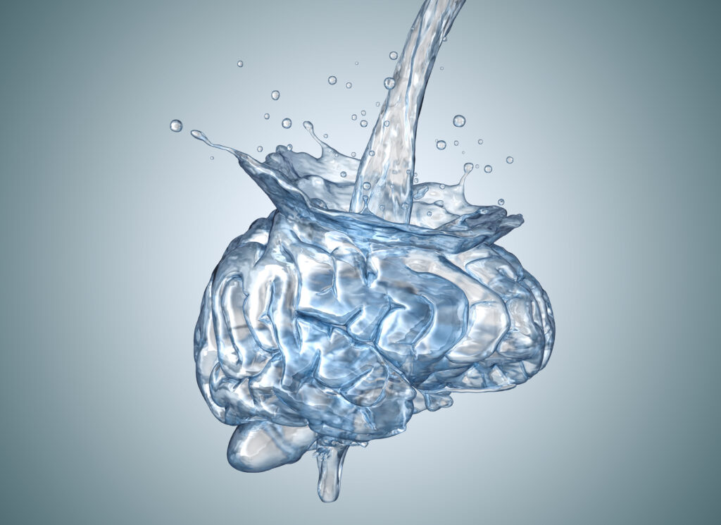 What is Wet Brain Syndrome? - Horizon Health Services